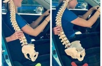 [🆕🇻🇳] Học Viện Đào Tạo Yoga International Angel Academy 🧘 Top1Yoga 🤸🏻‍♀️ Thói quen có thể giúp bạn thoải mái, nhưng cơ thể của bạn đang khóc kìa. Thay đổi thói quen xấu và tập luyện đúng cách bạn nhé!
, shares-0✔️ , likes-6❤️️ , date-2024-03-16 03:00:27🇻🇳🇻🇳🇻🇳📰🆕