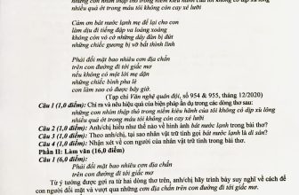 [🆕🇻🇳] Hội Chuyên Văn 📚 Top1Learn 📕 Đề HSG 12 Hưng Yên
, shares-14✔️ , likes-25❤️️ , date-2024-03-18 01:19:03🇻🇳🇻🇳🇻🇳📰🆕