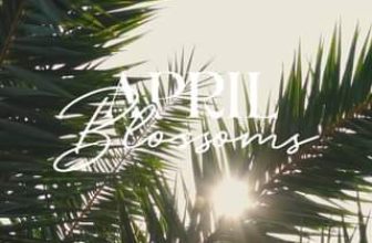 [🆕🇻🇳] Âmecopain Vietnam – Thương Hiệu Thời Trang Đồng Phục Đến Từ Hàn Quốc 👕 Top1Fashion 👗  𝑨𝒑𝒓𝒊𝒍 𝑩𝒍𝒐𝒔𝒔𝒐𝒎𝒔
Nearing the final moments
#amecopain #newcollection #ss2024, shares-0✔️ , likes-0❤️️ , date-2024-03-30 11:45:16🇻🇳🇻🇳🇻🇳📰🆕