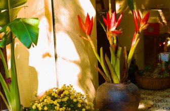 [🆕🇻🇳] Mood of I’ME 🍔 Top1Food 🍜 𝑳𝒂̀ 𝒏𝒈𝒂̀𝒚 𝒎𝒐̛́𝒊 đ𝒆̂́𝒏, 𝒍𝒂̀ 𝒏𝒂̆́𝒏𝒈 𝒔𝒐̛́𝒎 𝒎𝒂𝒊Chẳng cháy bỏng đến nóng rát, nắng sớm mai nhẹ nhàng như cách từng vệt ánh sáng in bóng lên vạn vật. Trên bức  , shares-0✔️ , likes-2❤️️ , date-2024-03-25 00:23:14🇻🇳🇻🇳🇻🇳📰🆕