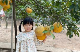 [🆕🇻🇳] ULACHOI’S OFFICIAL STORE – “ĐẸP VÀ CHẤT” 😎❤️️⭐️ Một thoáng thôn quê trong set đồ best seller của nhà ULA – bộ đồ xô Muslin. Cảm ơn mẹ bé đã tin tưởng nhà Ula từ lúc sản phẩm mới ra mắt ạFollow link s , shares-0✔️ , likes-3❤️️ , date-2024-03-24 15:56:20🇻🇳🇻🇳🇻🇳📰🆕