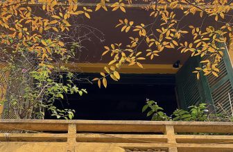 [🆕🇻🇳] Mood of I’ME 🍔 Top1Food 🍜 Đ𝒆̣𝒑 đ𝒆̂́𝒏 𝒏𝒂𝒐 𝒍𝒐̀𝒏𝒈 𝒎𝒖̀𝒂 𝒄𝒂̂𝒚 𝒕𝒉𝒂𝒚 𝒍𝒂́Con phố Nguyễn Du quen thuộc bỗng lãng mạn đến rung động. Hàng cây thay lá, bên những ngôi biệt thự cổ như tô điểm , shares-0✔️ , likes-3❤️️ , date-2024-04-03 06:20:30🇻🇳🇻🇳🇻🇳📰🆕