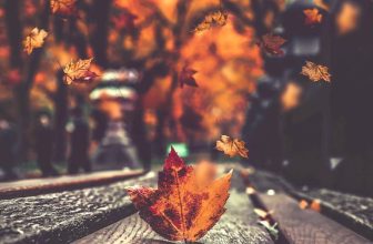 [🆕🇻🇳] Hội Chuyên Văn 📚 Top1Learn 📕 KHÔNG AI GỌI TÔI TRỞ DẬY VÀO BUỔI CUỐI THU
(Dương Kiều Minh)Không ai gọi tôi trở dậy vào buổi cuối thu
Mây trắng ngổn ngang bầu trời mấy chục năm về trướ , shares-1✔️ , likes-3❤️️ , date-2024-04-01 04:18:32🇻🇳🇻🇳🇻🇳📰🆕