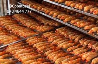 [🆕🇻🇳] Cô Ba Tasty 🍔 Top1Food 🍜 Tôm nướng ăn liền vì Cô Ba đã chế biến sẵn  #tomnuongmuoiot #cobatasty #amthuc #dacsanviet
, shares-0✔️ , likes-0❤️️ , date-2024-04-16 04:30:43🇻🇳🇻🇳🇻🇳📰🆕