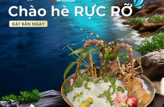 [🆕🇻🇳] Hải Sản Phố – 48 Liễu Giai 🍔 Top1Food 🍜 𝑻𝒐̂𝒎 𝒉𝒖̀𝒎 𝑺𝒂𝒔𝒉𝒊𝒎𝒊 – QUÀ TẶNG TỪ BIỂN KHƠIKhám phá hương vị tinh túy từ đại dương với Tôm hùm bông Sashimi tại Hải Sản Phố. Mỗi lát sashimi đều được nhà  , shares-0✔️ , likes-8❤️️ , date-2024-04-05 08:00:09🇻🇳🇻🇳🇻🇳📰🆕