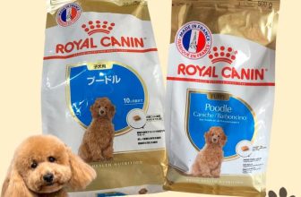 [🆕🇻🇳] FamiPet – Siêu Thị Cho Thú Cưng 🐶🦜 Top1Pets 🐱🐠 𝐑𝐎𝐘𝐀𝐋 𝐂𝐀𝐍𝐍𝐈𝐍 𝐏𝐎𝐎𝐃𝐋𝐄 𝐏𝐔𝐏𝐏𝐘
Xuất xứ: Pháp
Hãng thức ăn tiên phong và được ưa chuộng nhất.
Thức ăn cho chó Royal Canin chứa nhiều thành phần Omega 3, Omega 6, , shares-0✔️ , likes-2❤️️ , date-2024-04-19 11:09:49🐶🐱🇻🇳🇻🇳🇻🇳📰🆕