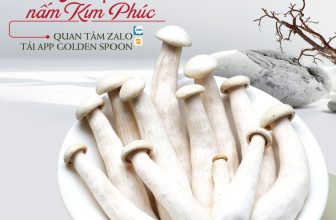 [🆕🇻🇳] ASHIMA MUSHROOM HOTPOT là chuỗi nhà hàng LẨU NẤM THIÊN NHIÊN 🍔 Top1Food 🍜 [HCM] Câu chuyện thú vị về loài nấm “gây thương nhớ” – Nấm Kim PhúcChắt chiu từ khu vườn nấm vừa nở rộ ở vùng đồng bằng của Ấn Độ, Ashima đã kịp gói ghé , shares-22✔️ , likes-25K❤️️ , date-2024-04-09 07:23:32🇻🇳🇻🇳🇻🇳📰🆕