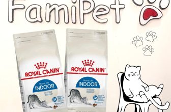 [🆕🇻🇳] FamiPet – Siêu Thị Cho Thú Cưng 🐶🦜 Top1Pets 🐱🐠 Thức Ăn Cho Mèo Royal Canin Indoor 27. Đây là dạng thức ăn hạt cho mèo trưởng thành trên 12 tháng tuổi, hạn chế chất béo, tăng cường chất xơ, duy trì cân n , shares-0✔️ , likes-3❤️️ , date-2024-04-19 11:13:40🐶🐱🇻🇳🇻🇳🇻🇳📰🆕