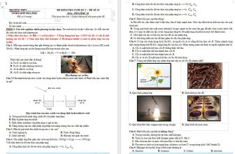 [🆕🇻🇳] Tài Liệu Giảng Dạy – Chuyên đề, đề thi thử tốt nghiệp, giáo án, đề thi-kiểm tra 📚 Top1Learn 📕 ĐỀ MIỄN PHÍ
Môn Hóa Học
Sách Kết Nối Tri Thức
Đề file word – hương dẫn giải
Phù hợp với nhu cầu ôn thi học kì 2 của giáo viên ôn luyện
Đề thi  học kì , shares-0✔️ , likes-3❤️️ , date-2024-05-14 04:33:56🇻🇳🇻🇳🇻🇳📰🆕