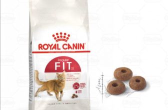 [🆕🇻🇳] FamiPet – Siêu Thị Cho Thú Cưng 🐶🦜 Top1Pets 🐱🐠  𝑻𝒉𝒖̛́𝒄 𝒂̆𝒏 𝒄𝒉𝒐 𝒎𝒆̀𝒐 𝑹𝑶𝒀𝑨𝑳 𝑪𝑨𝑵𝑰𝑵 𝑭𝑰𝑻32
Hỗ trợ sức khỏe của mèo bằng việc cung cấp các chất dinh dưỡng chính xác dựa trên nghiên cứu của các nhà khoa học RO , shares-0✔️ , likes-2❤️️ , date-2024-04-19 11:11:26🐶🐱🇻🇳🇻🇳🇻🇳📰🆕