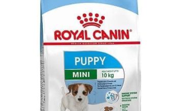 [🆕🇻🇳] FamiPet – Siêu Thị Cho Thú Cưng 🐶🦜 Top1Pets 🐱🐠 Thức ăn cho chó ROYAL CANIN Mini Puppy dành cho các giống chó con dưới 10 tháng tuổi.
Lợi ích chính:
Thức ăn cho chó con ROYAL CANIN Mini Puppy với công  , shares-0✔️ , likes-2❤️️ , date-2024-04-19 11:10:22🐶🐱🇻🇳🇻🇳🇻🇳📰🆕