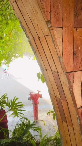 ĐÓN NHẬN THÔNG ĐIỆP VŨ TRỤ GỬI TỚI BẠN Vũ trụ đang gửi tới bạn thông điệp hãy chọn cho mình một ly trà hoa quả tươi mát cho ngày