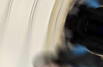 [🆕🇻🇳] Tổng Kho Đồ Bộ Bigsize Giá Rẻ 👕 Top1Fashion 👗  Thoải mái cả ngày dài cùng set đũi chất lượng
Che giấu hoàn hảo mọi khuyết điểm
Thoải mái, mát mẻ mang lại cảm giác tuyệt vời
Đủ 5 màu . SIZE 45-80kg
, shares-0✔️ , likes-24❤️️ , date-2024-06-22 15:47:59🇻🇳🇻🇳🇻🇳📰🆕