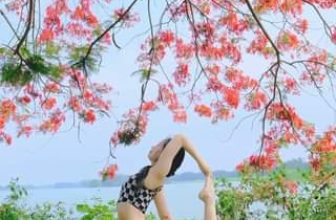 [🆕🇻🇳] Hong Ha Yoga – Ở đây có đam mê yoga � 🧘 Top1Yoga 🧘  , shares-0✔️ , likes-14K❤️️ , date-2024-05-18 04:02:50🇻🇳🇻🇳🇻🇳📰🆕