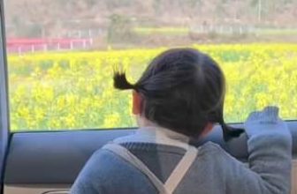 [🆕🇻🇳]  Voi Béo Store – Quần áo trẻ em xuất khẩu, xuất dư, hàng thiết kế cho bé 🧑‍🧒❤️️👶⭐️ Tham gia group cùng săn sale nhé:, shares-0✔️ , likes-0❤️️ , date-2024-06-26 09:59:06🇻🇳🇻🇳🇻🇳📰🆕