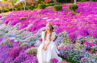 [🆕🇻🇳] Checkin và Du lịch Hàn Quốc – Korea Travel ♥️️ Top1Checkin ☑  Vườn hoa rực rỡ ở Jinan  전북특별자치도 진안군 진안읍 연장리 산 23-1
9:00-18:00
070-8860-3861
Giá vé 5,000 won (4,000 won cho học sinh)
Cre [IG] @yen_pic
#korea #travel  , shares-0✔️ , likes-8❤️️ , date-2024-05-09 08:41:50🇻🇳🇻🇳🇻🇳📰🆕