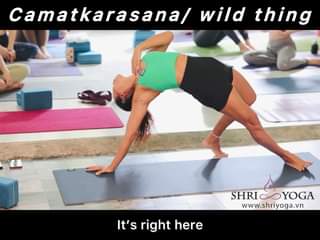 [🆕🇻🇳] Shriyoga – SATCHITANANDA – THỰC TẠI – Ý THỨC – PHÚC LẠC 🧘 Top1Yoga 🧘 Khám phá thêm trong Video
 , shares-0✔️ , likes-319❤️️ , date-2024-05-20 02:08:00🇻🇳🇻🇳🇻🇳📰🆕