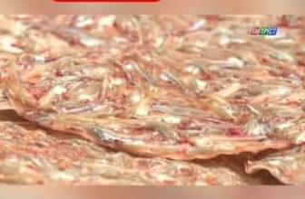 [🆕🇻🇳] Cua Cà Mau Anh Thái 🍔 Top1Food 🍜 Bản Sắc Cần Thơ và Bánh Tráng Cá Cơm Anh Thái P4
#cuacamauanhthai
#cacombanhtrang
#anhthai
#đồkhô
#dokho
#banhtrang
#xuhuong
#hottrend
#trend… Xem thêm
, shares-0✔️ , likes-0❤️️ , date-2024-05-10 03:08:57🇻🇳🇻🇳🇻🇳📰🆕