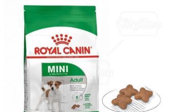 [🆕🇻🇳] FamiPet – Siêu Thị Cho Thú Cưng 🐶🦜 Top1Pets 🐱🐠  ROYAL CANIN MINI ADULTThức ăn dành riêng cho chó ROYAL CANIN Mini Adult được thiết kế để đáp ứng các nhu cầu dinh dưỡng cụ thể của các giống chó kích cỡ , shares-0✔️ , likes-2❤️️ , date-2024-04-19 11:14:02🐶🐱🇻🇳🇻🇳🇻🇳📰🆕