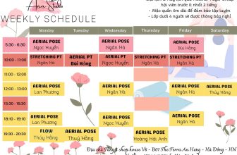[🆕🇻🇳] Ann Studio – Aerial Yoga – YOGA | AERIAL | LYRA I SLING 🧘 Top1Yoga 🤸🏻‍♀️  Public cho chị em lịch tập bay tuần mới ạaaaaChị em đã chuẩn bị gì cho kì nghỉ lễ dài sắp tới? Đến Ann Studio – Aerial Yoga để 𝐬𝐢𝐞̂́𝐭 𝐝𝐚́𝐧𝐠 với những b , shares-0✔️ , likes-4❤️️ , date-2024-04-21 14:22:51🇻🇳🇻🇳🇻🇳📰🆕