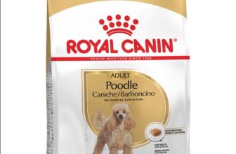 [🆕🇻🇳] FamiPet – Siêu Thị Cho Thú Cưng 🐶🦜 Top1Pets 🐱🐠 𝘙𝘖𝘠𝘈𝘓 𝘊𝘈𝘕𝘐𝘕 𝘗𝘖𝘖𝘋𝘓𝘌 𝘈𝘋𝘜𝘓𝘛
Là loại thức ăn khô cho chó Poodle trên 10 tháng tuổi  của Royal Canin, Pháp.тнÀηн ρнẦη:
Bột thịt gà, mỡ động vật, ngô , gạo ,l , shares-0✔️ , likes-3❤️️ , date-2024-04-19 11:13:25🐶🐱🇻🇳🇻🇳🇻🇳📰🆕