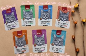 [🆕🇻🇳] FamiPet – Siêu Thị Cho Thú Cưng 🐶🦜 Top1Pets 🐱🐠 𝐏𝐚𝐭𝐞 𝐖𝐚𝐧𝐩𝐲 𝐂𝐡𝐨 𝐌𝐞̀𝐨 𝐠𝐨́𝐢 𝟖𝟎𝐠
– Không chỉ vì sự lâu đời và nổi tiếng, Pate cho mèo Wanpy thực sự cung cấp cho các bé mèo những giá trị về dinh dưỡng và mùi  , shares-0✔️ , likes-3❤️️ , date-2024-04-26 14:12:45🐶🐱🇻🇳🇻🇳🇻🇳📰🆕