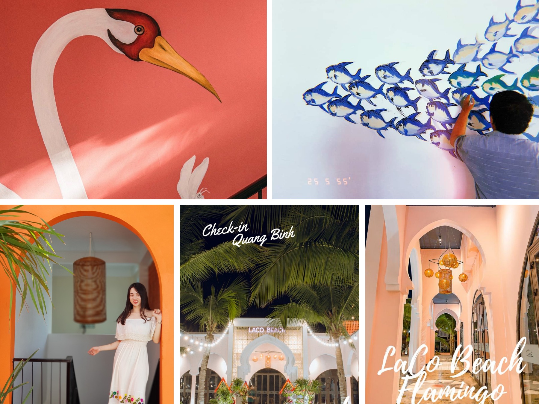 [🆕🇻🇳] Lá Cọ Beach Flamingo – Nhà Hàng Hải Sản Quảng Bình 🍔 Top1Food  🍜 “Tại Lá Cọ F&B , chúng tôi tin rằng ăn uống phải là một trải nghiệm tuyệt vời. Các Nhà hàng xinh đẹp của chúng tôi với không gian ấm cúng và thoải mái  , shares-0✔️ , likes-10❤️️ , date-2024-04-25 15:52:15🇻🇳🇻🇳🇻🇳📰🆕