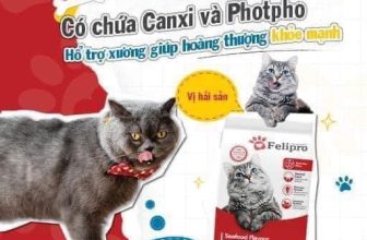 [🆕🇻🇳] FamiPet – Siêu Thị Cho Thú Cưng 🐶🦜 Top1Pets 🐱🐠 Thức ăn hạt Felipro 500g – dành cho mèo khó ănFelipro là sản phẩm thức ăn khô dành cho mèo ở mọi giai đoạn tuổi được sản xuất tại Thái Lan. Cung cấp cho  , shares-0✔️ , likes-2❤️️ , date-2024-04-22 06:21:25🐶🐱🇻🇳🇻🇳🇻🇳📰🆕