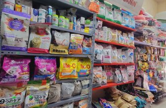 [🆕🇻🇳] Pettysoc Đồ Cho Thú Cưng 🐶🦜 Top1Pets 🐱🐠 Pettysoc vẫn làm việc xuyên kỳ nghỉ lễ ạ.Mời bạn ghé quán từ 8h30 đến 22h các ngày hoặc nhắn inbox để quán giao hàng nhanh chóng đến bạn .
Chúc cả nhà  , shares-0✔️ , likes-2❤️️ , date-2024-04-27 03:59:13🐶🐱🇻🇳🇻🇳🇻🇳📰🆕