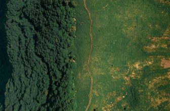 [🆕🇻🇳] Checkin và Du lịch Hàn Quốc – Korea Travel ♥️️ Top1Checkin ☑  𝑮𝒂𝒏𝒈𝒘𝒐𝒏𝒅𝒐 – 𝒔𝒐̂́𝒏𝒈 𝒍𝒖̛𝒏𝒈 𝒌𝒉𝒖̉𝒏𝒈 𝒍𝒐𝒏𝒈  𝒑𝒉𝒊𝒆̂𝒏 𝒃𝒂̉𝒏 민둥산
Thời cơ giảm cân cuối cùng cũng đến, topic này dành cho team thích leo núi nhưng team nào lười , shares-0✔️ , likes-9❤️️ , date-2024-04-29 03:27:06🇻🇳🇻🇳🇻🇳📰🆕