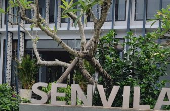 [🆕🇻🇳]  RainBow Design – Thế giới sơ mi cho các hoàng tử nhỏ 