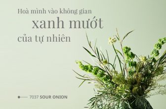 [🆕🇻🇳] Jotun Việt Nam – Nhà cung cấp hàng đầu về giải pháp sơn ♥️️ Top1Index 📚  Dưới cái nắng oi bức, sắc xanh dịu nhẹ luôn là lựa chọn hoàn hảo để tổ ấm của bạn được gần gũi với thiên nhiên, mang lại cảm giác nhẹ nhàng, thư thái sau n , shares-33✔️ , likes-133❤️️ , date-2024-05-01 07:05:59🇻🇳🇻🇳🇻🇳📰🆕