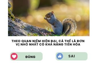 [🆕🇻🇳] SINH HỌC 4.0 – Thầy Nguyễn Duy Khánh 📚 Top1Learn 📕 #lythuyetsinhhoc #SinhhocthayNguyenDuyKhanh
, shares-0✔️ , likes-116❤️️ , date-2024-05-12 13:28:52🇻🇳🇻🇳🇻🇳📰🆕