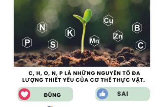 [🆕🇻🇳] SINH HỌC 4.0 – Thầy Nguyễn Duy Khánh 📚 Top1Learn 📕 #lythuyetsinhhoc #SinhhocthayNguyenDuyKhanh
, shares-0✔️ , likes-65❤️️ , date-2024-05-14 13:02:47🇻🇳🇻🇳🇻🇳📰🆕