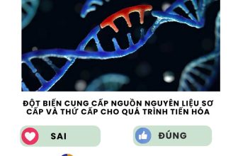 [🆕🇻🇳] SINH HỌC 4.0 – Thầy Nguyễn Duy Khánh 📚 Top1Learn 📕 #lythuyetsinhhoc #SinhhocthayNguyenDuyKhanh
, shares-0✔️ , likes-97❤️️ , date-2024-05-10 10:55:48🇻🇳🇻🇳🇻🇳📰🆕