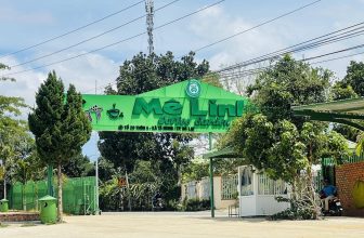 [☕️🇻🇳] Mê Linh Coffee Garden 🥤 Top1Coffee ☕️ “Hãy mang theo máy ảnh và lên đường, điểm dừng chân tiếp theo sẽ là hạnh phúc”   Những đẹp xinh và yên bình của nơi đây được 𝐌𝐞̂ , shares-5✔️ , likes-61❤️️ , date-2024-05-14 02:50:50🇻🇳🇻🇳🇻🇳📰🆕