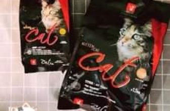 [🆕🇻🇳] FamiPet – Siêu Thị Cho Thú Cưng 🐶🦜 Top1Pets 🐱🐠 Giới thiệu
Hạt Cat Eye Kitten & Cat Cho Mèo Có Ngừa Búi Lông là hạt khô cho mèo của Cat Eye, Hàn Quốc. Tác Dụng
– Công thức chứa chất xơ tự nhiên và  , shares-0✔️ , likes-0❤️️ , date-🐶🐱🇻🇳🇻🇳🇻🇳📰🆕