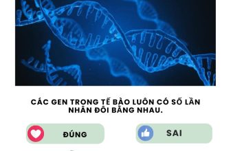 [🆕🇻🇳] SINH HỌC 4.0 – Thầy Nguyễn Duy Khánh 📚 Top1Learn 📕 [ Mỗi ngày một câu lý thuyết ]
#lythuyetsinhhoc #SinhhocthayNguyenDuyKhanh
, shares-1✔️ , likes-111❤️️ , date-2024-05-07 13:16:22🇻🇳🇻🇳🇻🇳📰🆕