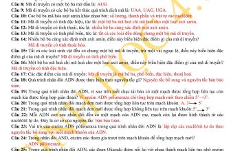 [🆕🇻🇳] SINH HỌC 4.0 – Thầy Nguyễn Duy Khánh 📚 Top1Learn 📕 Các câu hỏi tự luận ngắn của Sinh học 12 để các em Tổng ôn cho cuối kì II, ôn thi TN THPT và ĐGNL nhé!
, shares-169✔️ , likes-111❤️️ , date-2024-05-10 11:26:54🇻🇳🇻🇳🇻🇳📰🆕