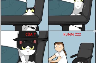 [🆕🇻🇳] Nu Pet – Yêu Thú Cưng 🐶🦜 Top1Pets 🐱🐠 Biên thân biết phận là tốt  #nupet
, shares-1✔️ , likes-114❤️️ , date-2024-05-08 02:19:26🐶🐱🇻🇳🇻🇳🇻🇳📰🆕