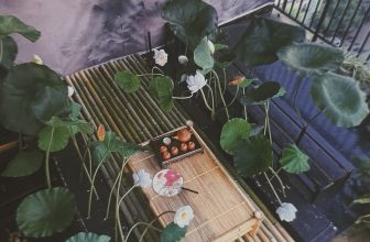 [☕️🇻🇳] Sam Rooftop Coffee 🥤 Top1Coffee ☕️ Mai là thứ 6, tớ cho phép cậu thích tớ nha
Sam đã sẵn concept sen, các góc sống ảo…
Trà cũng đã pha, cafe cũng đã ủ… chỉ cần , shares-0✔️ , likes-6❤️️ , date-2024-05-23 15:33:17🇻🇳🇻🇳🇻🇳📰🆕