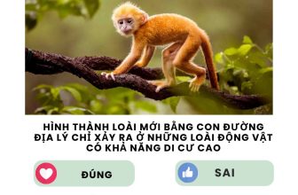 [🆕🇻🇳] SINH HỌC 4.0 – Thầy Nguyễn Duy Khánh 📚 Top1Learn 📕 #lythuyetsinhhoc #SinhhocthayNguyenDuyKhanh
, shares-0✔️ , likes-80❤️️ , date-2024-05-15 10:06:42🇻🇳🇻🇳🇻🇳📰🆕