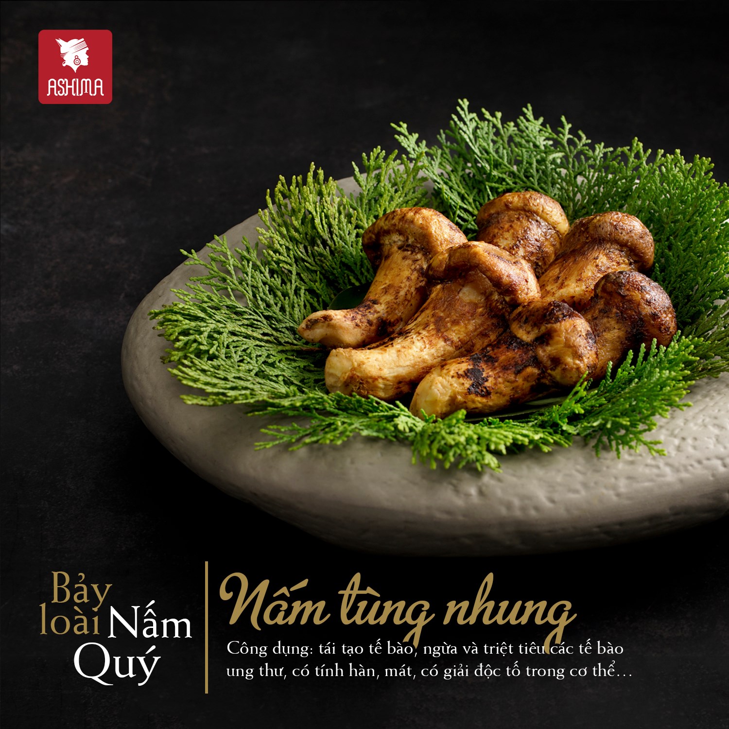 [🆕🇻🇳] ASHIMA MUSHROOM HOTPOT là chuỗi nhà hàng LẨU NẤM THIÊN NHIÊN 🍔 Top1Food 🍜 BẠN ĐÃ TỪNG THƯỞNG THỨC BỘ SƯU TẬP NẤM QUÝ TẠI ASHIMA?

Nhà sáng lập Ashima: “Hương vị tinh hoa của nấm quý không thể miêu tả, chỉ có thể cảm nhận”

 Mệnh  , shares-1✔️ , likes-8❤️️ , date-2024-05-26 03:00:01🇻🇳🇻🇳🇻🇳📰🆕