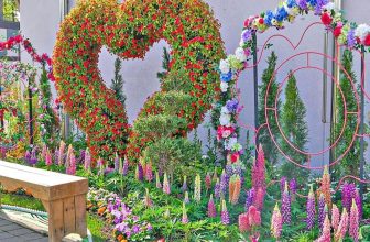 [🆕🇻🇳] Checkin và Du lịch Hàn Quốc – Korea Travel ♥️️ Top1Checkin ☑   𝑩 𝒖 𝒔 𝒂 𝒏 (부산)
Triển lãm hoa mùa xuân đang diễn ra ở Công viên Busan Citizens Park (부산시민공원), với rất nhiều loại hoa khác nhau đang nở đẹp tuyệt vời
C , shares-0✔️ , likes-9❤️️ , date-2024-05-13 03:13:50🇻🇳🇻🇳🇻🇳📰🆕