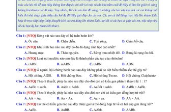 [🆕🇻🇳] Thầy Nguyễn Thanh Quang 📚 Top1Learn 📕 𝐓𝐇Ầ𝐘 𝐐𝐔𝐀𝐍𝐆 𝐓Ặ𝐍𝐆 𝐂Á𝐂 𝐄𝐌 ĐỀ 𝐂𝐇Ố𝐍𝐆 𝐋𝐈Ệ𝐓 𝐂𝐇𝐈𝐍𝐇 𝐏𝐇Ụ𝐂 𝟐𝟓 𝐂Â𝐔 ĐẦ𝐔 𝐓𝐈Ê𝐍 𝐓𝐑𝐎𝐍𝐆 ĐỀ 𝐓𝐇𝐈 𝐓𝐍 𝐓𝐇𝐏𝐓 𝐐𝐔Ố𝐂 𝐆𝐈𝐀.
File PDF và đáp án thầy để ở phần bình luận, nếu các em ủng , shares-20✔️ , likes-36❤️️ , date-2024-05-23 15:11:04🇻🇳🇻🇳🇻🇳📰🆕