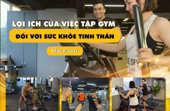 [🆕🇻🇳] Igym Fitness & Yoga 🧘 Top1Yoga 🤸🏻‍♀️ Tập gym mang lại nhiều lợi ích đối với sức khỏe tinh thần, bao gồm:
Giảm căng thẳng: Hoạt động thể chất giúp giảm căng thẳng và lo lắng. Việc tập gym giúp  , shares-0✔️ , likes-1❤️️ , date-2024-05-31 03:07:03🇻🇳🇻🇳🇻🇳📰🆕