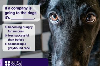 [🆕🇻🇳] British Council Vietnam English 📚 Top1Learn 📕 Who can resist those cute puppy eyes?  Let’s learn a new idiom together!
Ever heard the expression ‘going to the dogs’?  It’s used to describe a situatio , shares-0✔️ , likes-6❤️️ , date-2024-05-21 13:00:24🇻🇳🇻🇳🇻🇳📰🆕