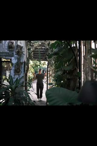 [☕️🇻🇳] BỤI Coffee Chill – Plants 🥤 Top1Coffee ☕️  , shares-0✔️ , likes-34K❤️️ , date-2024-05-10 13:26:17🇻🇳🇻🇳🇻🇳📰🆕