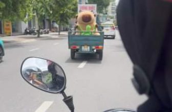 [🧸️🇻🇳] Vương Quốc Gấu Bông – Shop chuyên quà tặng gấu bông cao cấp 🎈Top1Toys🧸️  Phát hiện Capybara Khổng Lồ tại Quận 1 Sài Gòn #gaubong #gaubongcapybara #vuongquocgaubong #gaubonghcm #gaubongcaocap #capybarakhonglo
, shares-0✔️ , likes-0❤️️ , date-2024-06-01 07:14:01🇻🇳🇻🇳🇻🇳📰🆕