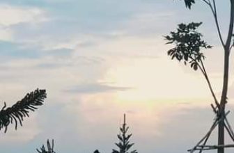 [☕️🇻🇳] 𝐋𝐚 𝐑𝐞̂𝐯𝐞𝐮𝐬𝐞🥤 Top1Coffee ☕️ thành phố này không có mùa đông, nhưng con người ta lại loay hoay đi tìm hơi ấm..trong nhau #sadec #coffeetime #mơ #lareveuse
, shares-0✔️ , likes-0❤️️ , date-2024-06-05 14:00:49🇻🇳🇻🇳🇻🇳📰🆕